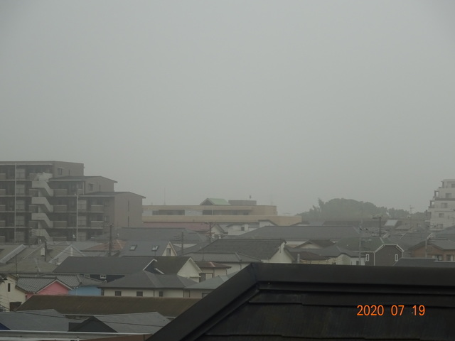 DSC08713.JPG
