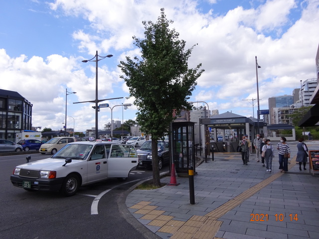 DSC09954.JPG