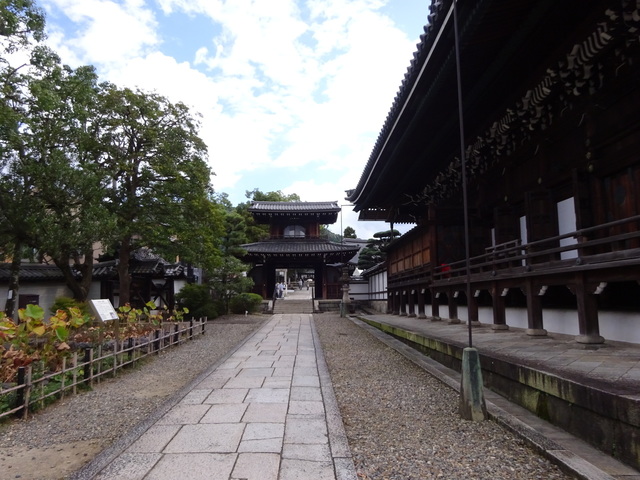 DSC09973.JPG