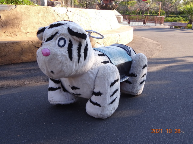 DSC00062.JPG