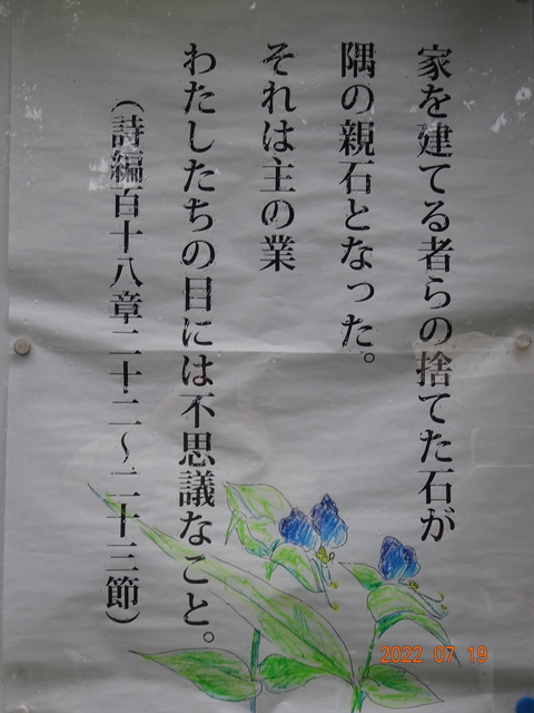DSC00917.JPG