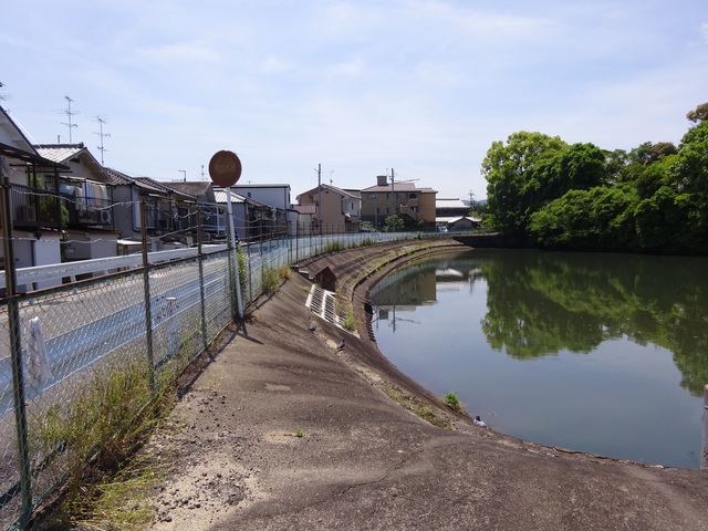 DSC02494.JPG