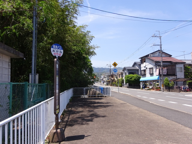 DSC02495.JPG