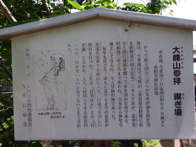 DSC02501.JPG