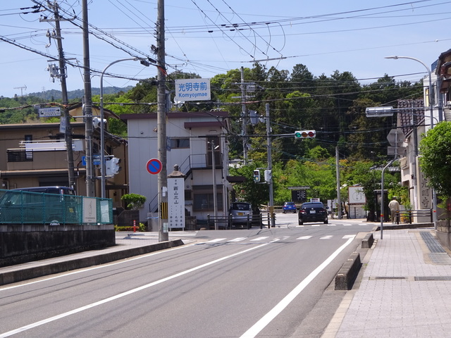 DSC02528.JPG