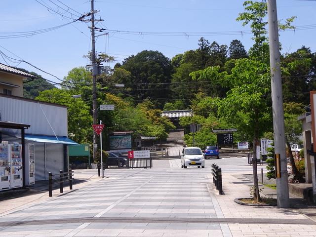 DSC02532.JPG
