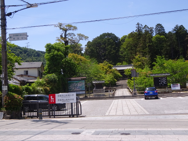 DSC02533.JPG