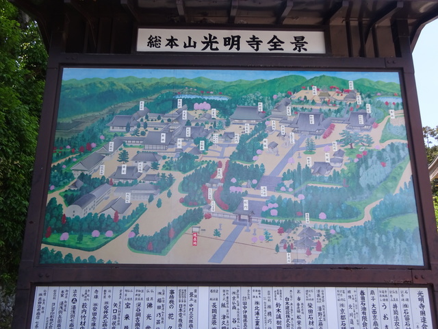 DSC02534.JPG