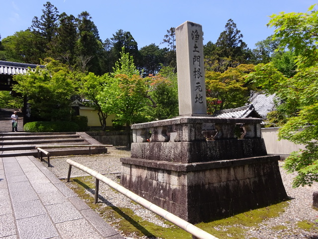 DSC02535.JPG