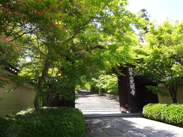 DSC02538.JPG
