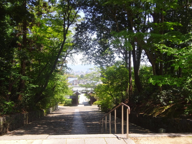 DSC02541.JPG