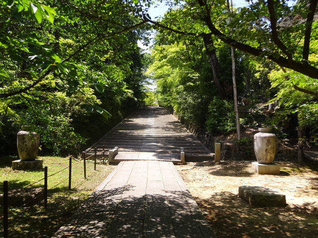 DSC02543.JPG