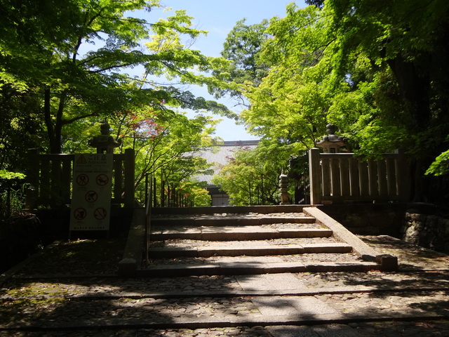 DSC02544.JPG
