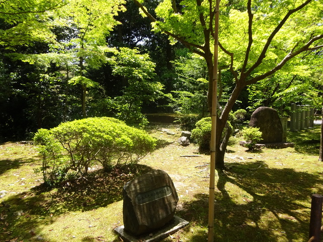 DSC02545.JPG