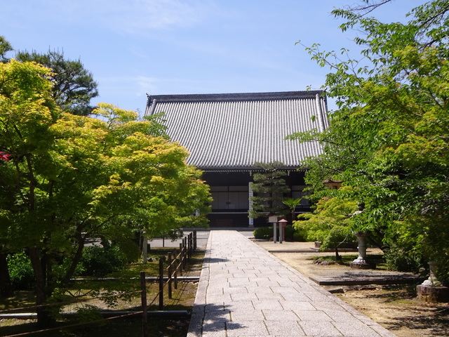 DSC02546.JPG