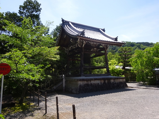 DSC02548.JPG