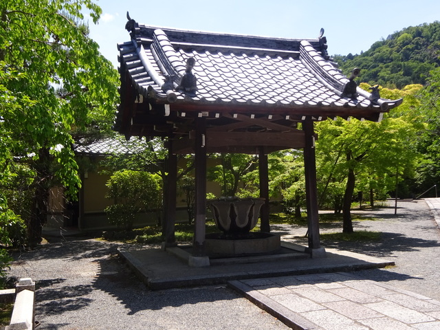 DSC02550.JPG
