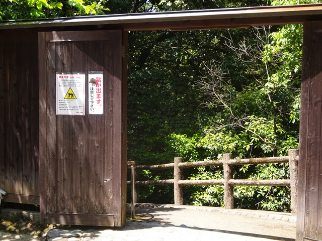 DSC02562.JPG