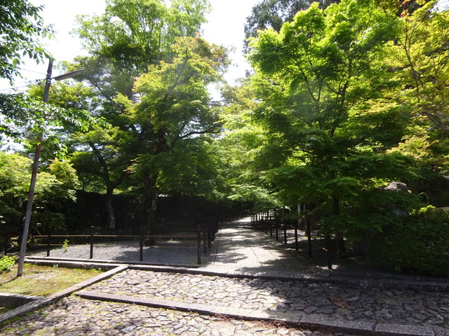 DSC02565.JPG