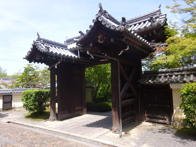 DSC02566.JPG