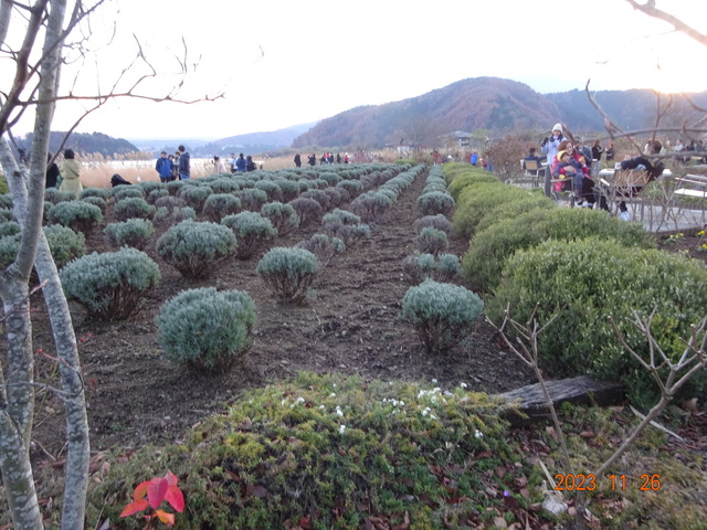 DSC03274.JPG