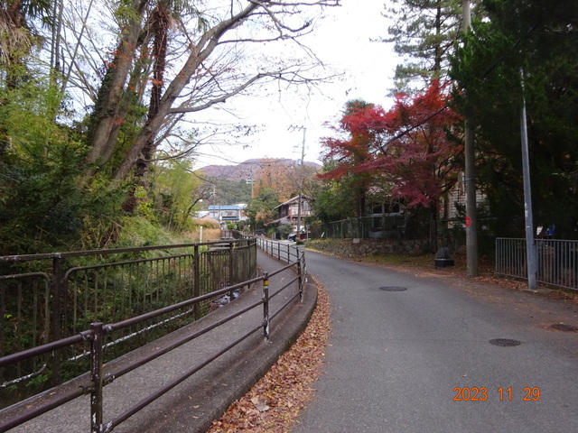 DSC03326.JPG