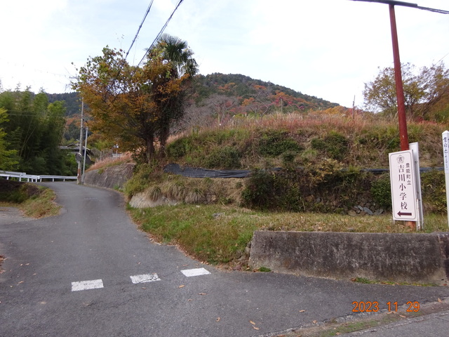 DSC03329.JPG