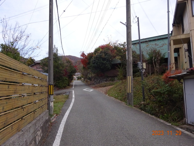 DSC03333.JPG