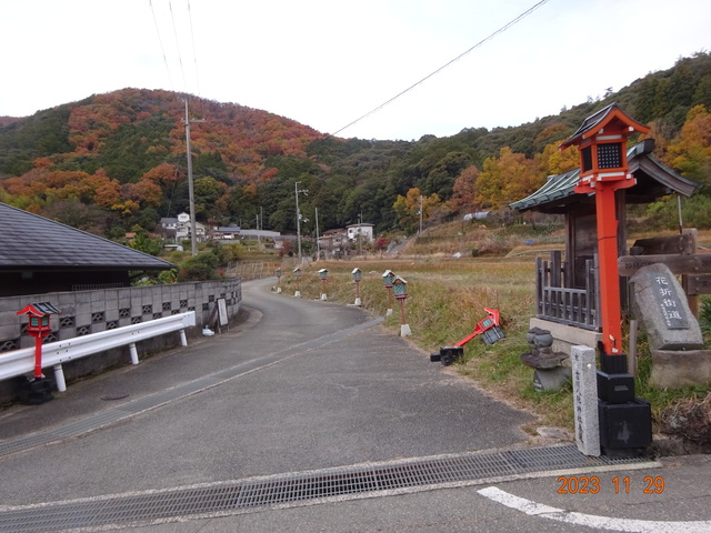 DSC03336.JPG