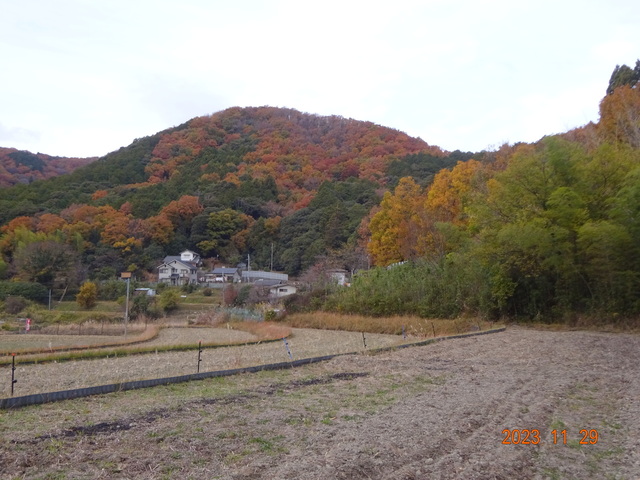 DSC03337.JPG